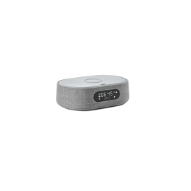 Harman Kardon Citation Oasis DAB - Grey - Voice-controlled speaker with DAB/DAB+ radio and wireless phone charging - Hero